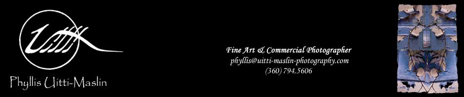 Phyllis Uitti-Maslin ... Fine Art & Commercial Photographer