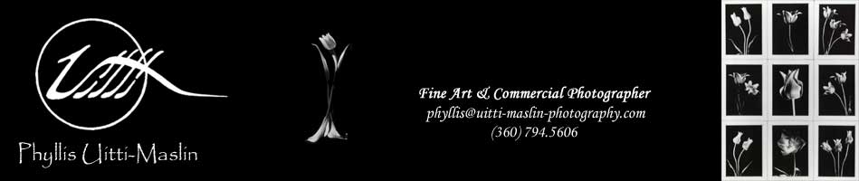 Phyllis Uitti-Maslin ... Fine Art & Commercial Photographer