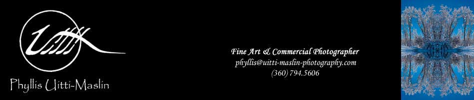 Phyllis Uitti-Maslin ... Fine Art & Commercial Photographer